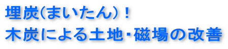 埋炭(まいたん)木炭による土地・磁場の改善