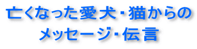 亡くなった愛犬猫からのメッセージ伝言