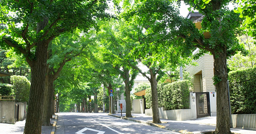 新緑の田園調布